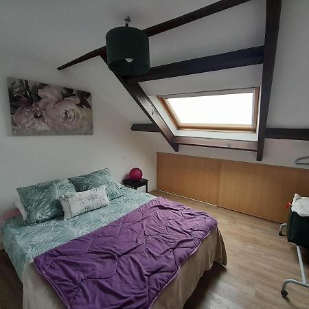 Ferienwohnung T3 Hyper Centre Vannes Exterior foto